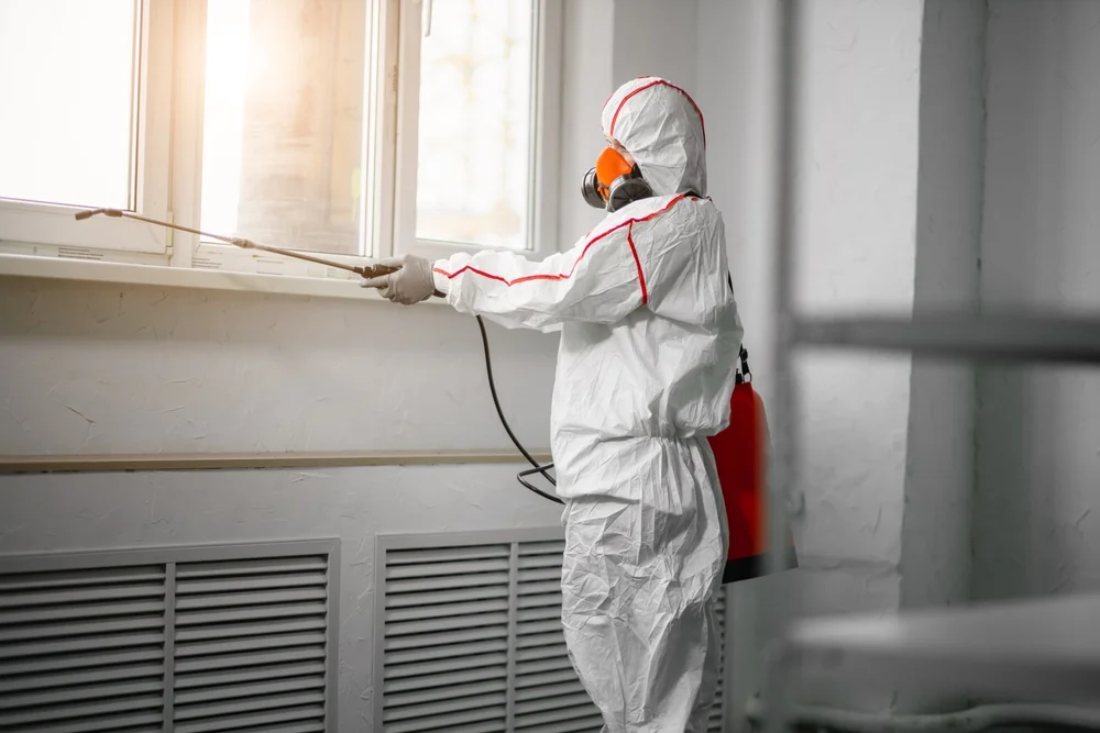 Professional mold remediation services in Iron Ridge, WI